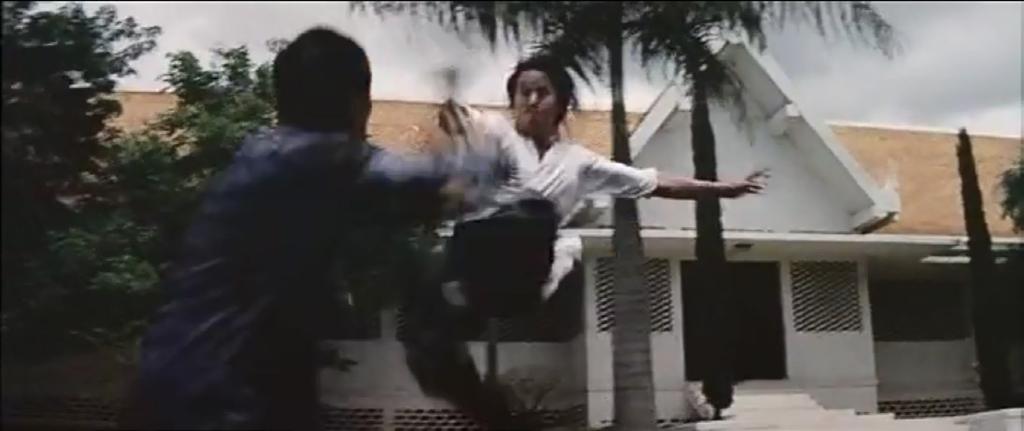54 55 Based on the data (Table I The Big Boss), I came to understand The Big Boss in the same way as Yuan and Stuart: Lee's Kung Fu movie shows his powerful Kung Fu.