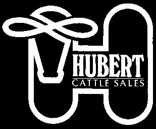 tv Sale cattle will be stalled with individual breeder/exhibitors in the stalling area and then moved to the display area adjacent to the sale center prior to the start of the sale.