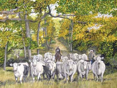 Donation Lots Benefitting Charolais Youth 22 Original Artwork: An Autumn Drive, Final Installment of Seasons of Charolais To benefit the American