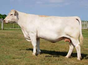 $157,500 in 2018! Two full sib sisters available.