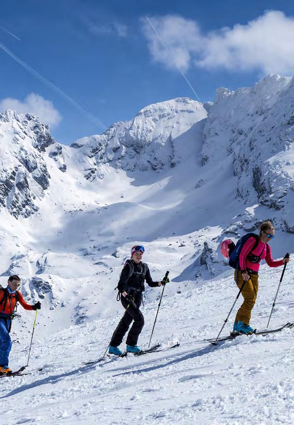 Advice for ski touring and Alpine skiing Plan