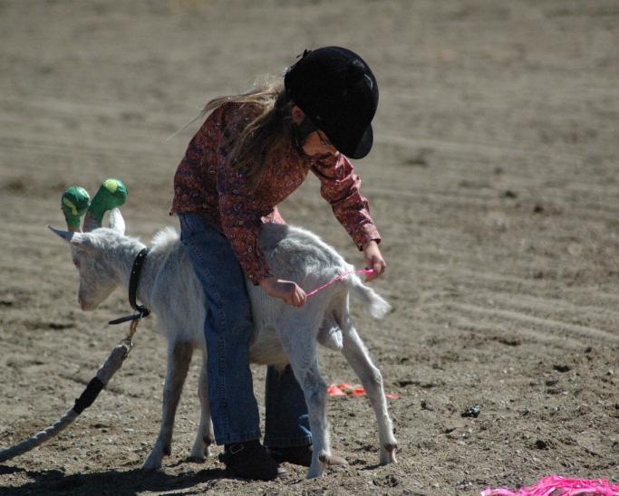 BC LITTLE BRITCHES RODEO ASSOCIATION The British Columbia Little Britches Rodeo Association is a place for young cowboys and cowgirls to get a start in the sport of rodeo.