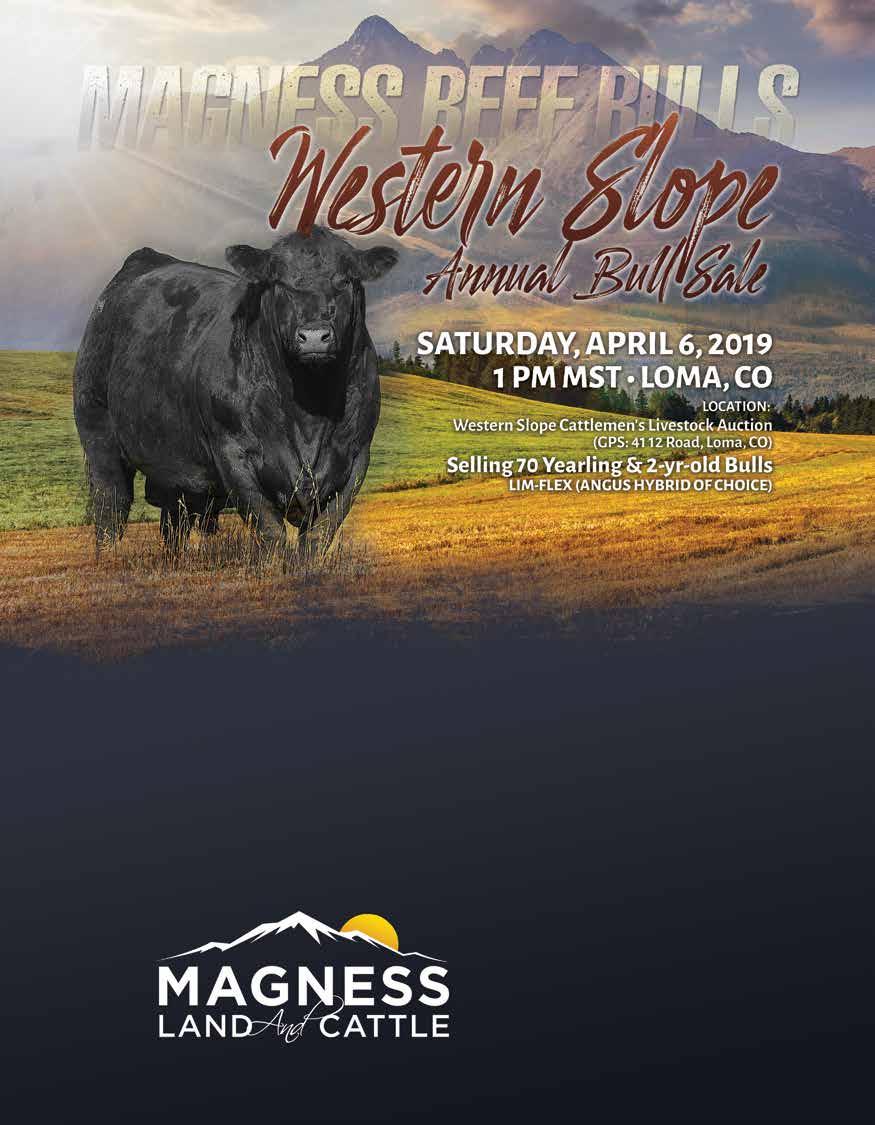 Ask About Our Innovative Magness Bull Warranty Program and Private Treaty Sales Visit our website for a full schedule of events, or contact any member of our trusted marketing team for more
