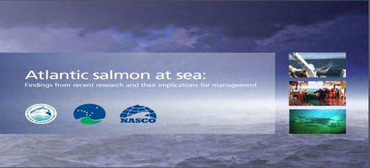 Management Implications - General over the last forty years, increased mortality at sea, linked to a warming climate, has resulted in a dramatic decline in the abundance of Atlantic salmon management