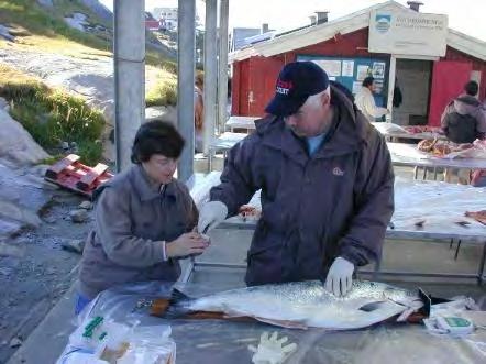 West Greenland salmon fishery Monitoring & Control Plan All fishermen will require a licence;