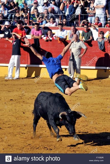Miguel, the 72.0-kg bullfighter, runs toward an angry bull at a speed of 4.00 m/s. The 550.
