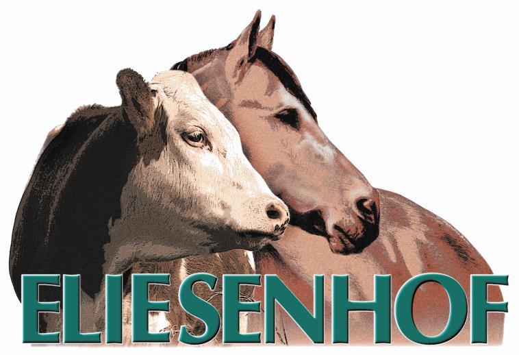 Eliesenhof Open 2016 Cow Horse Cup Südwest Ranch Horse Cup Südwest 18./19.