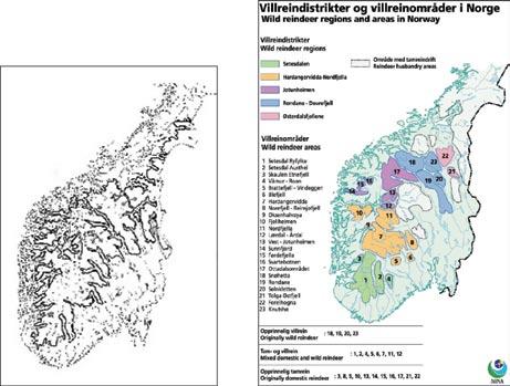 Fig. 5. Wild reindeer areas in South Norway before and now Today the distribution of wild reindeer is limited to the southern parts of Norway, with approximately 30.000 animals left (Jordhøy et al.