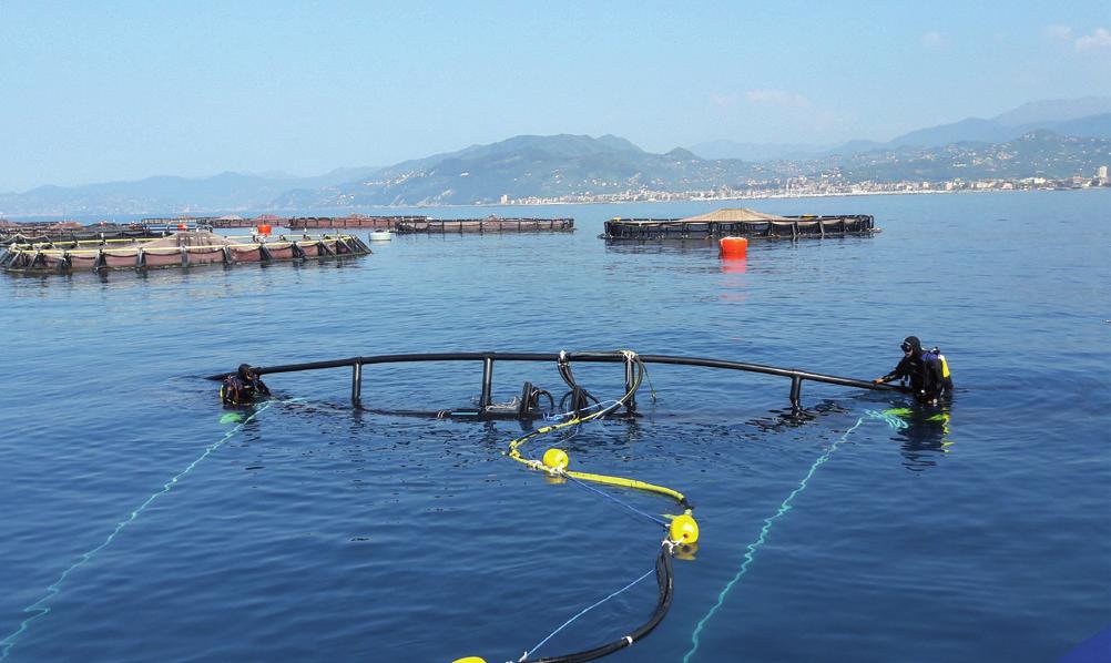 OVERVIEW SUBMERSIBLE CAGES The use of submersible cages allows farmers to develop the aquaculture activities in exposed and unprotected sea sites, improving the potential production of the coastal
