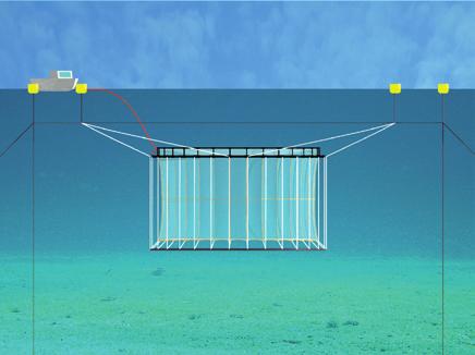 in floating position on the water surface. In order to facilitate the handling procedures, the cage net is fitted with a removable net lid in the top.