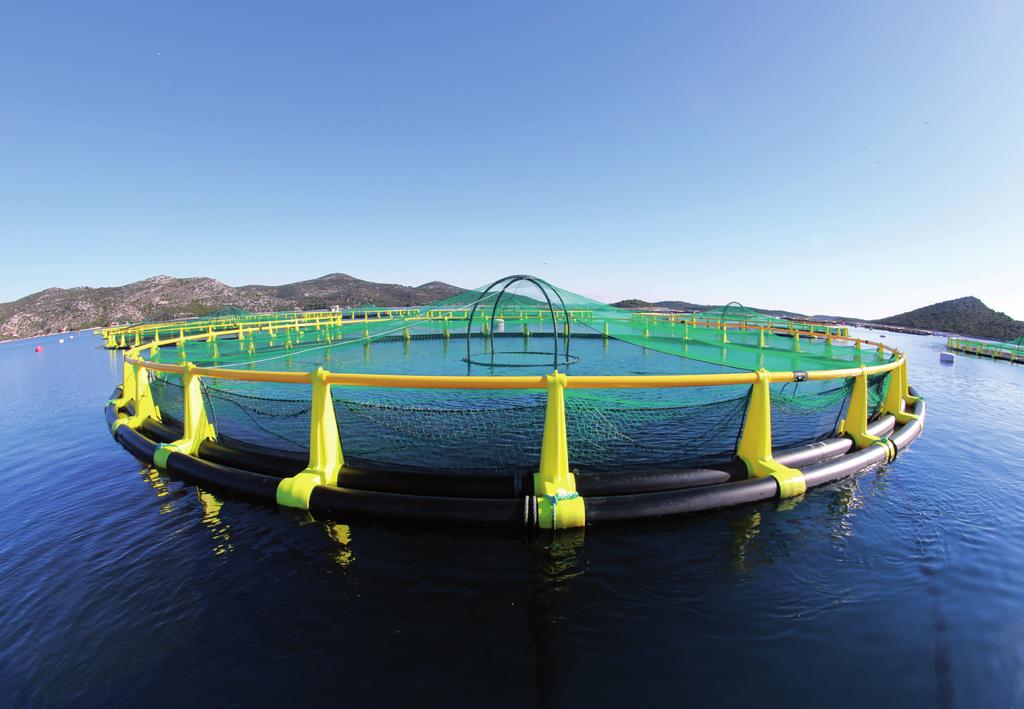FISH FARMING FLOATING CAGE HOW IS MADE MAIN CONFIGURATION MODELS CIRCUMFERENCE (mt) BRACKETS NUMBER 32 12 40 50