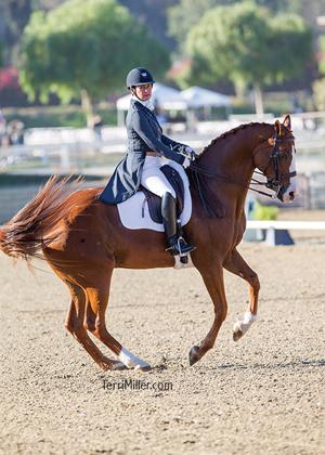 Great American/USDF Region 7 & CDS Championships see record-breaking participation. Heading in its 50th year, California Dressage Society is getting better with age.