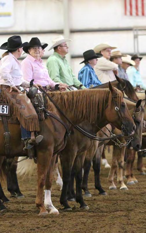 Sunday Show Classes and Schedule Reining Sr. Youth, Jr. Youth - Pattern #2 Senior & Junior Youth Classes may perform simple or flying lead changes.