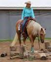 Find out just how family friendly and fun horse shows can be.