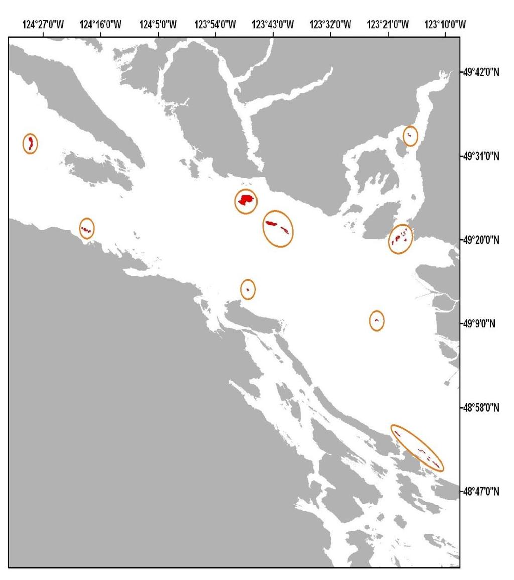 Strait of Georgia and Howe Sound Glass Sponge Reef Conservation Initiative Phase 1 In 2015-16 all nine original glass sponge reefs in the Strait of Georgia and Howe Sound were closed to all bottom