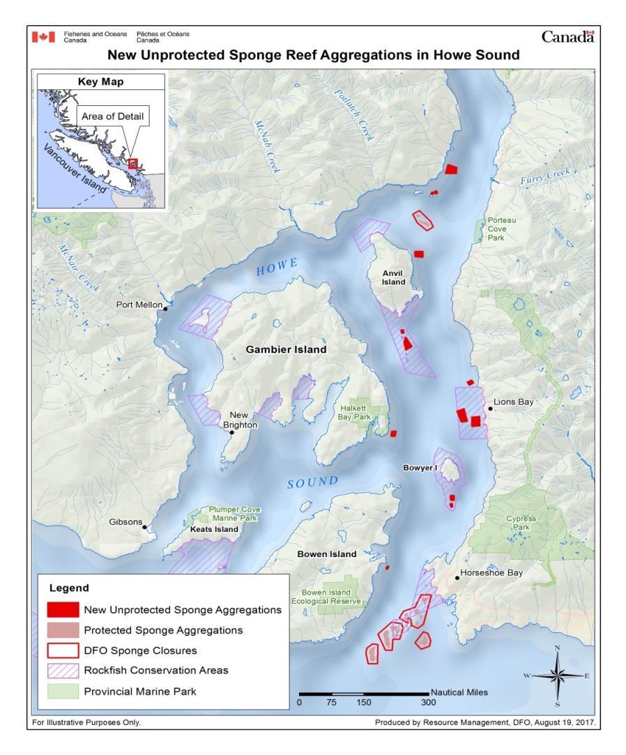 Strait of Georgia and Howe Sound Glass Sponge Reef Conservation Initiative Phase 2 During the 2014 consultation process to protect the original nine reefs, 13 new glass sponge complexes in Howe Sound