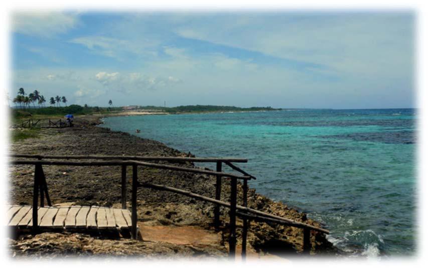 11:00 am &3:00pm) The Laguna Maya coral reef is parallel