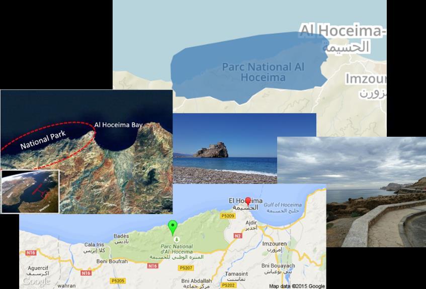 MARINE PROTECTED AREA of the NATIONAL PARK Al-Hoceima Total park area: 480 km 2 Coastline: 40 km Marine area: 196 km 2 Good water quality one of the cleanest parts of the entire Med Moroccan