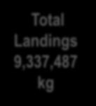 9 g Landings 3,268,121 kg Avg fish weight 98.7 g = = 57,312,238 fish (area 6) 33,111,661 fish (area 7) X X 8.5% age-1 (area 6) 88% age-2 (area 6) 3.