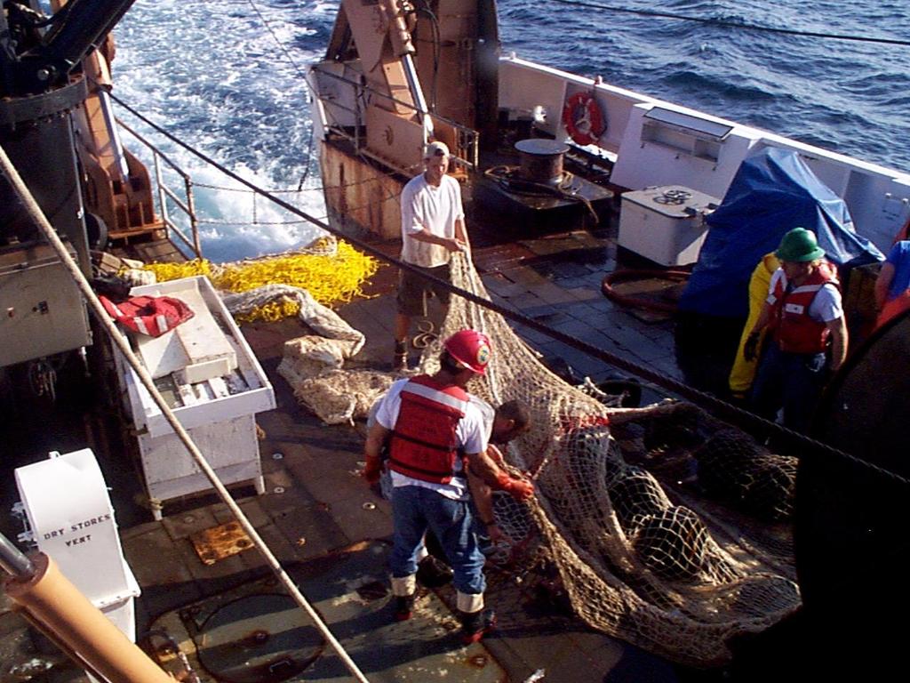 NEFSC Survey Otter Trawl Net