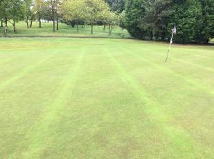 Figure 9: It is imperative that the remaining greens are pipe drained as a matter of priority over the coming years.