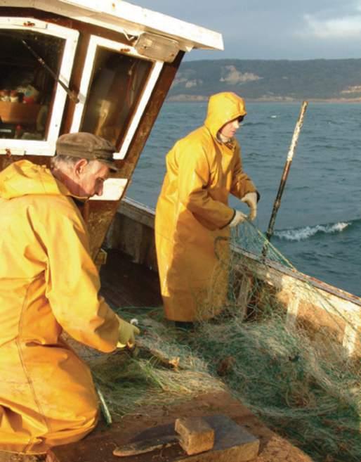 3.2.3 Case study: fishers Code of good practice to minimise gear conflict and gear loss in gillnet fisheries THE FANTARED 2 2 project included the development of a netting code of good practice.