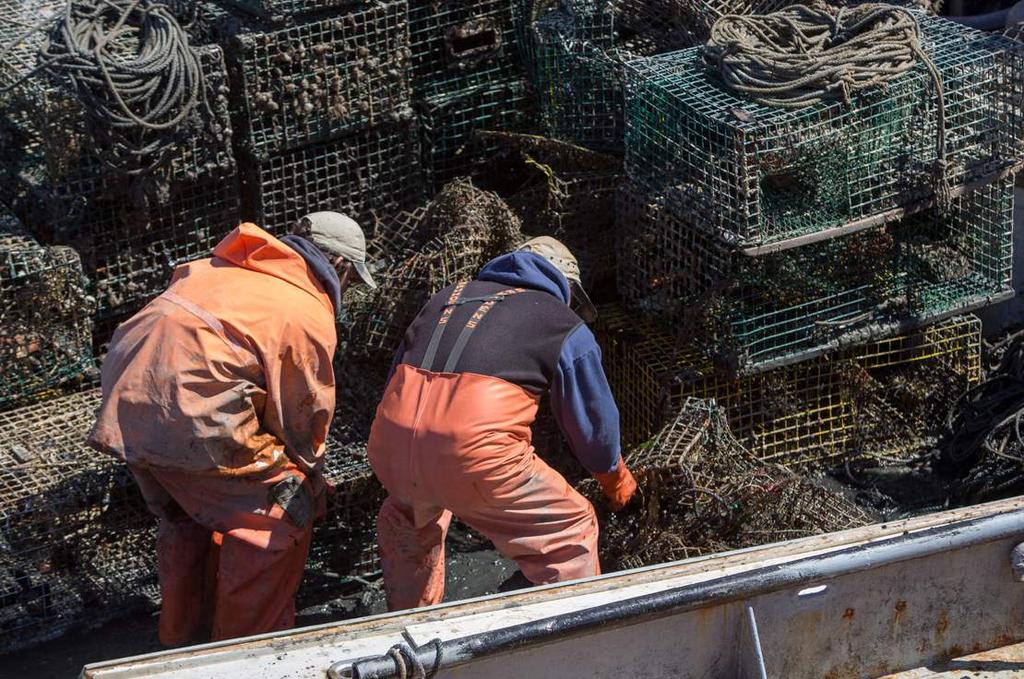 3.4 PORT OPERATORS 3.4.1 Principles of best practice APPROACH PRINCIPLES It is important that it is convenient, safe and relatively inexpensive to dispose of redundant fishing gear and marine litter in port.
