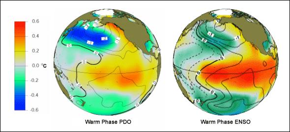 INTERANNUAL TO INTERDECADAL CHANGES El Niño Southern Oscillation interannual Pacific Decadal Oscillation interdecadal (warm phase
