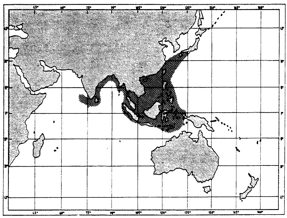 72 Geographical Distribution: Eastern Indian Ocean, including the Laccadive Islands, Sri Lanka, Andaman Sea; and western Pacific, including southern Japan and the South China Sea (Fig. 124).
