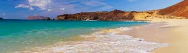 La Graciosa Tuesday 7:30-14:00 Price: 55,00 Join us for this trip to Puerto del Carmen where you can visit the beautiful beaches or do some shopping on the Beach front or in the Biosfera Plaza