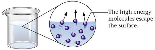In an open container, H 2 O molecules that evaporate can escape from the container b.