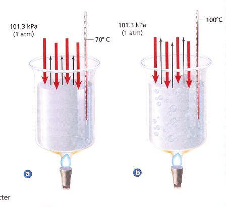 Vapor Pressure - the pressure exerted by a vapor coming off a liquid Fig. a As temp increases, H 2 O molecules gain K.E.