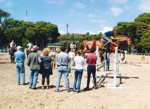 34 35 Technical course for equestrian
