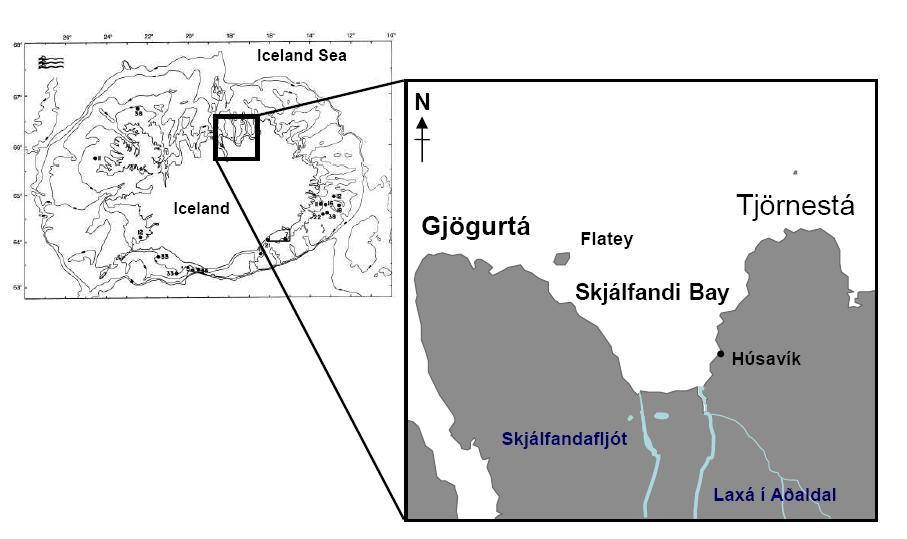 Figure 1: Mp showing study re, Skjálfndi By northest of Icelnd. (Adpted from Jónsson 1996). 2.