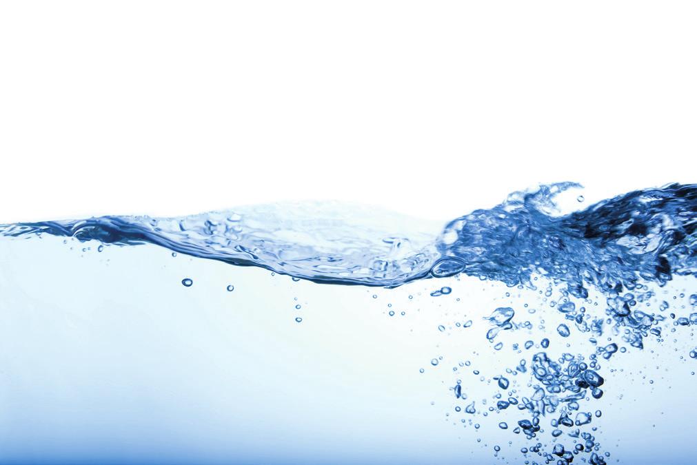 THE WATER MANAGEMENT SOCIETY The Management of Legionella in Air Washers,