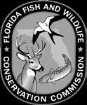 PLEASE PRINT OR TYPE (NO PENCIL) RETURN ALL COPIES CLASS III PERSONAL USE APPLICATION AND QUESTIONNAIRE Issued Under Authority of the Wildlife Code of the State of Florida (Chapter 68A, Florida