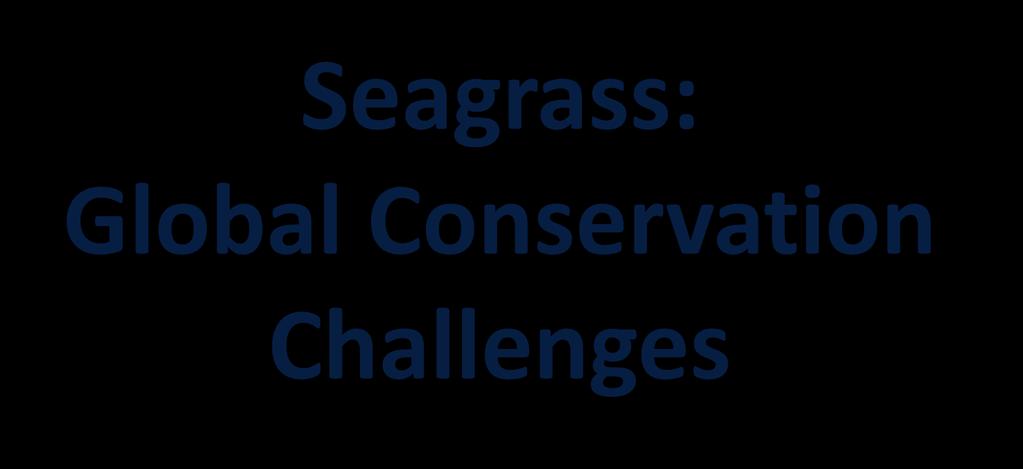 Seagrass: Global Conservation Challenges Len McKenzie 1 & Richard Unsworth 2 1 James Cook