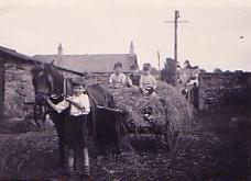 Gathering Hay, looks good but I was never going to be a farmer even though I am in charge of the pony Some splendid