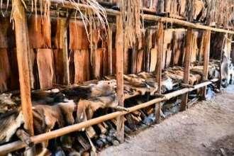 Interior of a Longhouse at the