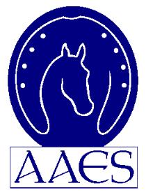 2015 2016 Lesson Options Overview AMERICAN ACADEMY OF EQUESTRIAN SCIENCES RIDING LESSON PROGRAMS Semester Lesson Packages: the base for all options Program Overview The lesson packages run year-round