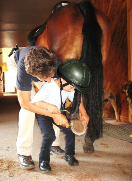 OPTION II: HELPER PROGRAM Each level includes: Theory and Hands-on Barn & Horse Management Education The Helper Program is designed for the well rounded horse enthusiast!