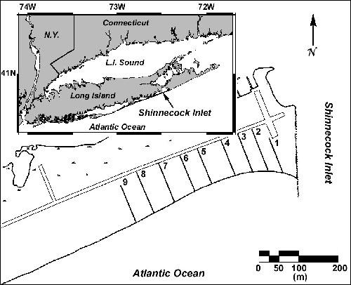 Figure 2. Study area map. Survey transects 1-9 were located along a 475-meter reach adjacent to the west jetty at Shinnecock Inlet.