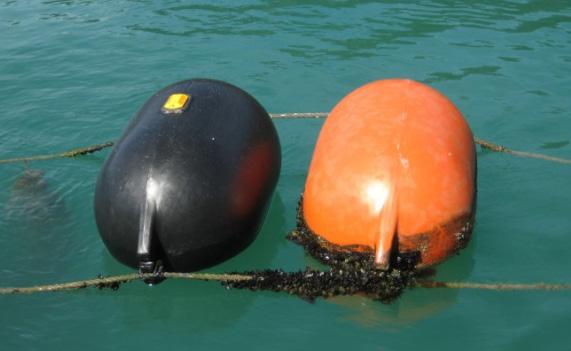 Good practice for orange floats includes: attaching them to black floats to help buoyancy regular placement on the outer edges of a marine farm: o o on the ends of lines, as appropriate, and where