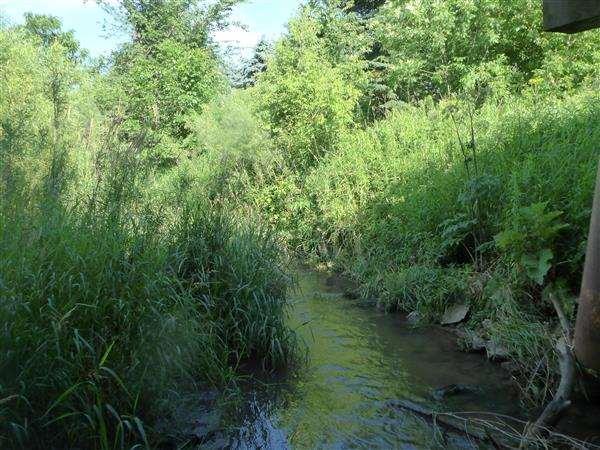 Photo 4 - View of Upstream