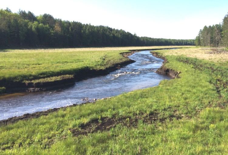 The Pigeon River is a world-class stream that Huron Pines and partners are investing in for a major restoration project.