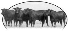 PO Box 272 Hobson, MT 59452 www.stevensongenetics.com Fellow Cattleman, We would like to formally announce our first ever High Altitude Bull Offering on Friday, April 17 in Laramie, Wyoming.