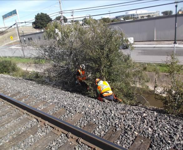 vegetation removal along Main Track 1 in San Mateo near the