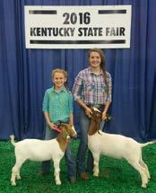 4-H/FFA Market Goat Show Eight Carter County students participated in the novice, 4-H, and FFA goat shows at the Kentucky State Fair. Placings listed below are from their respective classes.
