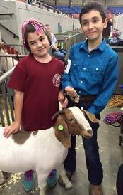 Cloverville gives fellow Kentuckians good examples of 4-H projects and our young people s work ethic. Some of these projects took weeks, months and sometimes an entire year to complete.