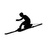 Competition information: Participants compete in U.S. Ski & Snowboard regional, national and in some cases, international competitions. Licensing requirements A U.S. Ski & Snowboard membership is required to compete in U.
